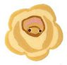 Small Yellow Cottage Rose